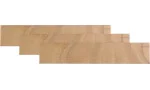 adorini Divider 长款,适用于 Primo Deluxe Humidor,3件装