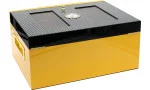 Cohiba Humidor Global Brand 30-60 雪茄